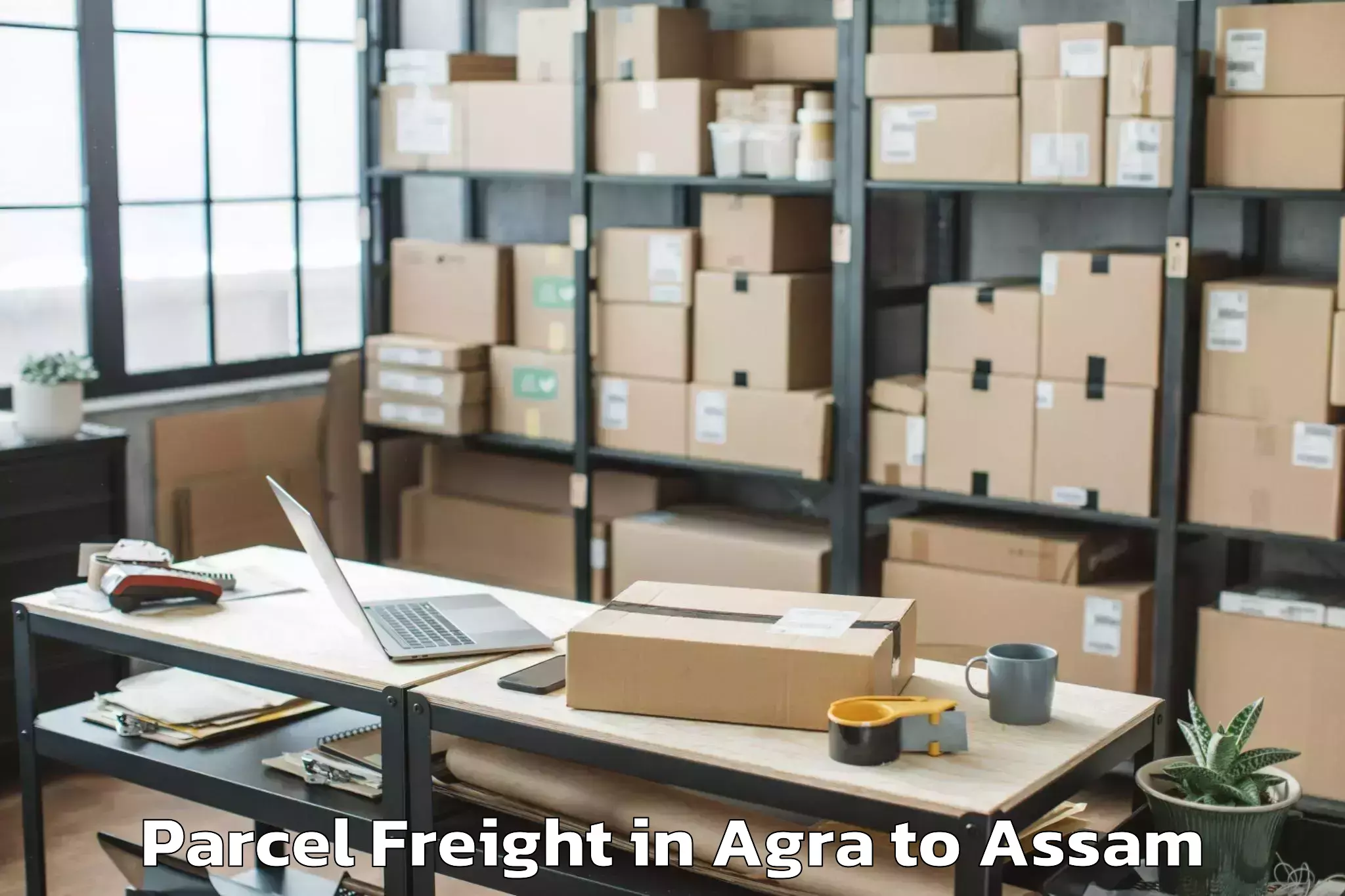 Easy Agra to Abhilashi University Guwahati Parcel Freight Booking